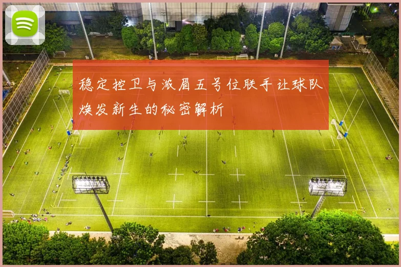 稳定控卫与浓眉五号位联手让球队焕发新生的秘密解析