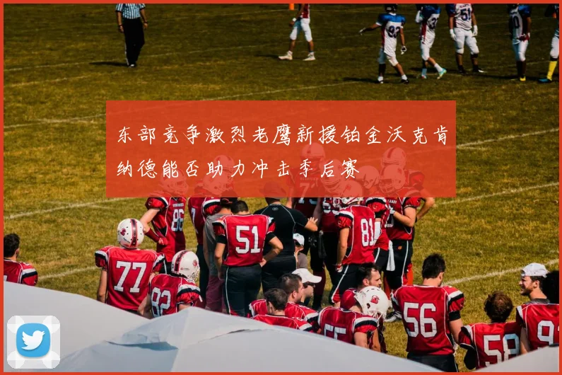 东部竞争激烈老鹰新援铂金沃克肯纳德能否助力冲击季后赛