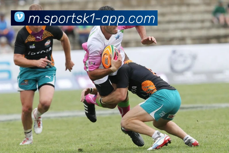 k1体育APP 高清赛事图